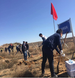 ���ʼ����֯��չ����ֲ���